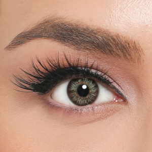 EL AMORE RETRO FORESTA