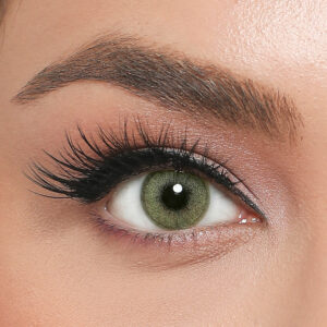 EL AMORE RETRO OLIVE