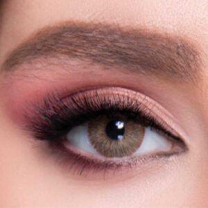 LABELLA LENSES EXCLUSIVE BROWN